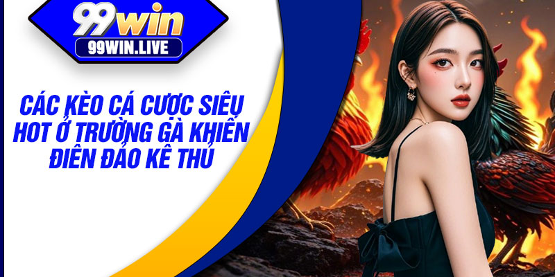 Các kèo cá cược siêu hot ở trường gà khiến điên đảo kê thủ