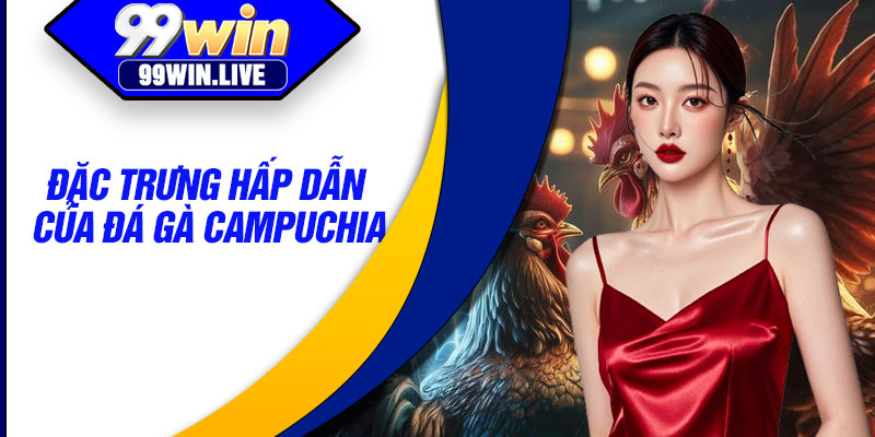 Đặc trưng hấp dẫn của đá gà Campuchia
