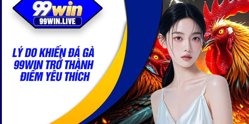 Lý do khiến đá gà 99WIN trở thành điểm yêu thích