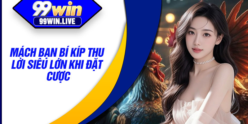 Mách bạn bí kíp thu lời siêu lớn khi đặt cược