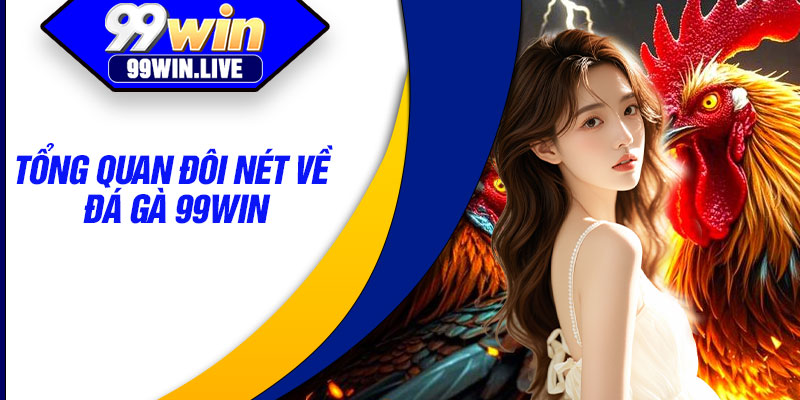Tổng quan đôi nét về Đá gà 99WIN